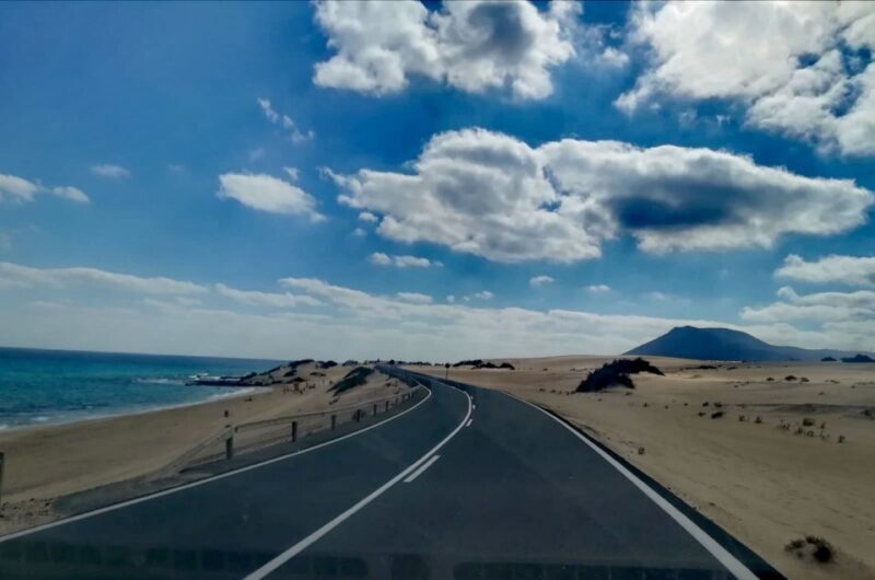 Fuerteventura: Corralejo Sand Dunes Guided Shore Excursion - Who Will Love This Tour?