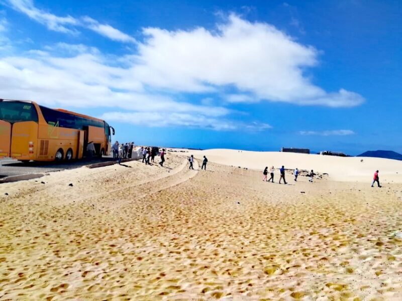 Fuerteventura: Corralejo Sand Dunes Guided Shore Excursion - Final Thoughts