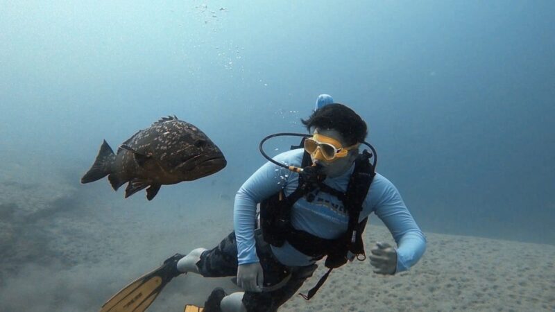 Fuerteventura: Discover Scuba Diving - The Itinerary Breakdown