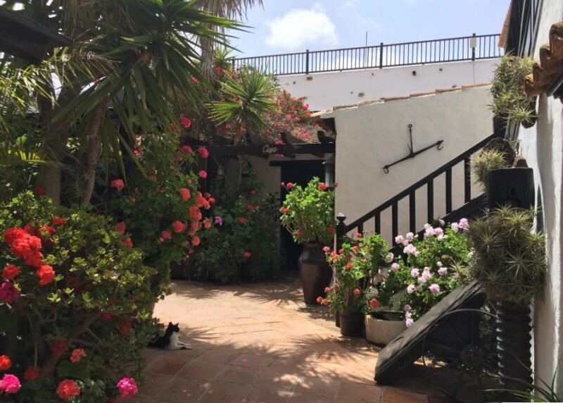 Fuerteventura: Discovery Tour - A comprehensive look at the Fuerteventura Discovery Tour