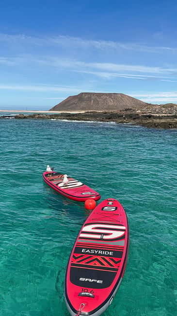 Fuerteventura: Dolphin watching and Lobo Island Combo Cruise - An In-Depth Look at the Fuerteventura Dolphin Watching and Lobo Island Cruise