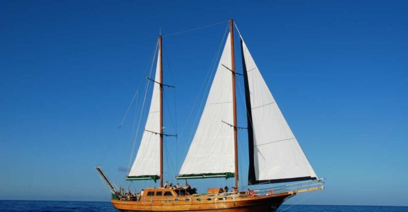 Fuerteventura: Exclusive Turkish Gulet Cruise with Lunch - Analyzing the Value: Is It Worth It?