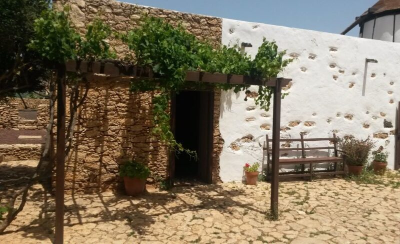 Fuerteventura: Full Day Tour with Lunch - Transportation, Guides, and Overall Value