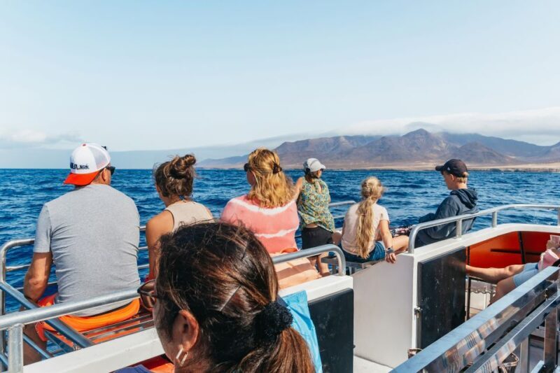 Fuerteventura: Glass Bottom Boat Cruise with Lunch & Drinks - FAQ