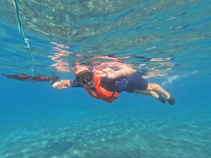 Fuerteventura: Guided Snorkeling in La Lajita with Pickup - Who Will Love This Tour?