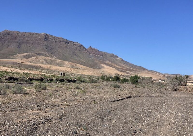 Fuerteventura: Guided Trekking Tour with Island Goats - Final Thoughts: Is It For You?