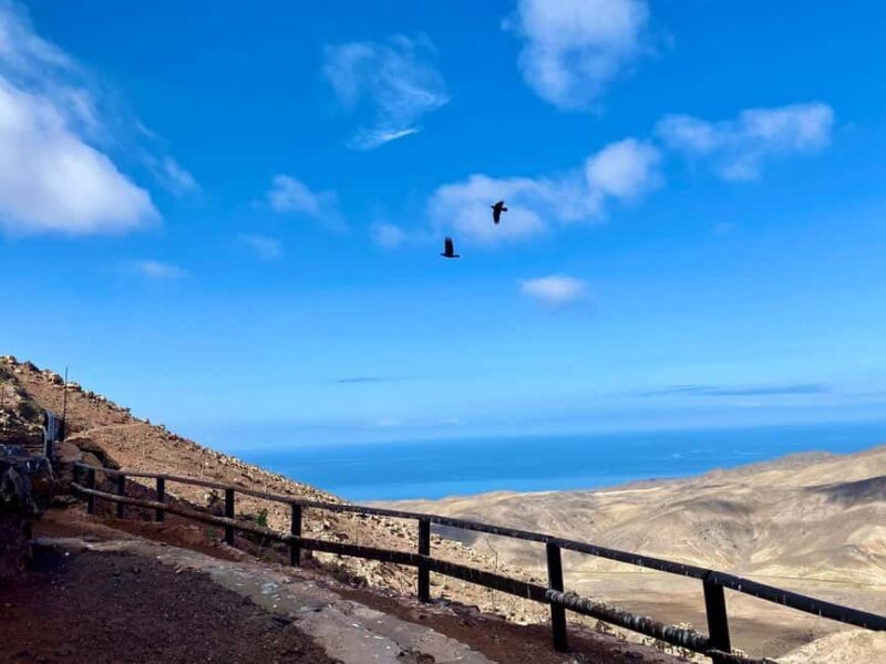 Fuerteventura Hiking on the sacred mountain El Cardon - FAQ: Your Questions Answered