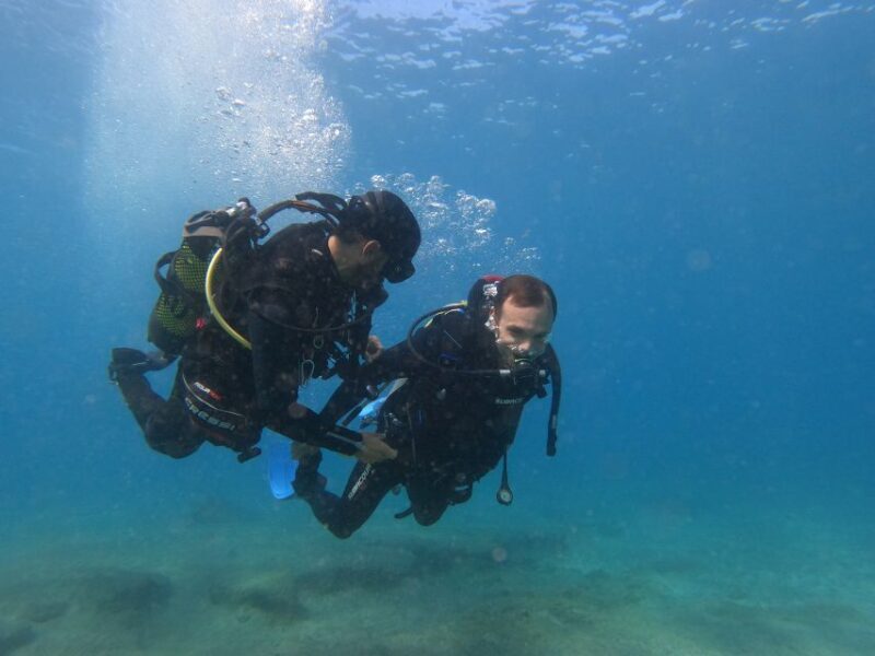 Fuerteventura: Introductory Dive in La Lajita with Pickup - Who Will Enjoy This Tour?