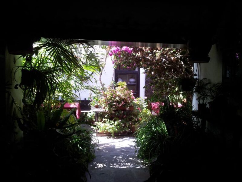 Fuerteventura: Island Tour by Minibus - Who Would Love This Tour?