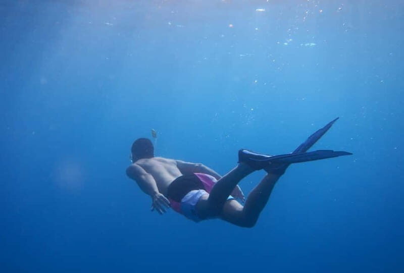 Fuerteventura: Lobos Island Catamaran Cruise with Lunch - Key Points