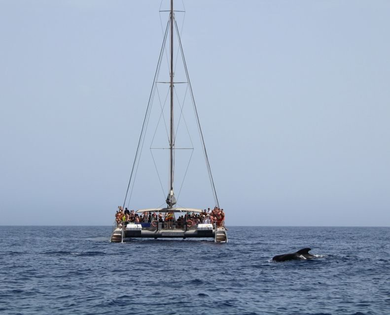 Fuerteventura: Magic Catamaran Trip with Food and Drinks - FAQ