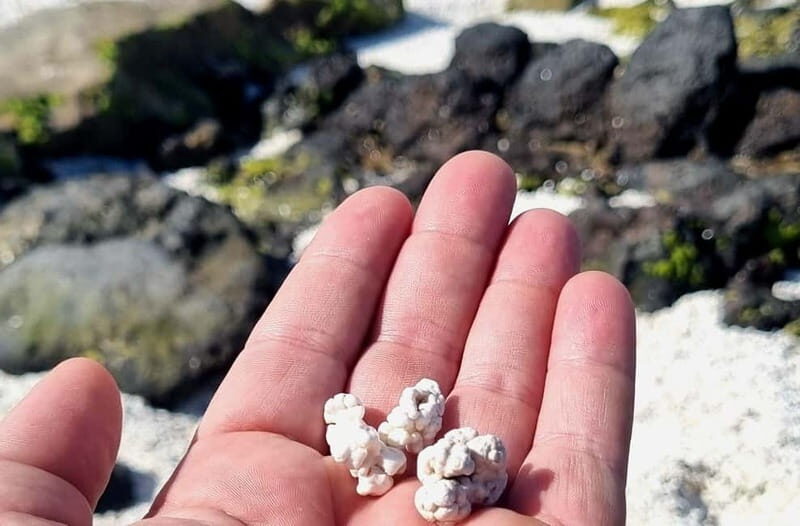 Fuerteventura North with Tapas (food) - Who Is This Tour Best For?