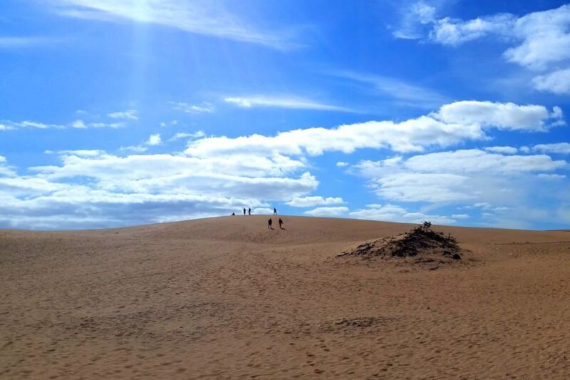 Fuerteventura: Panoramic Tour - Itinerary Breakdown: What You’ll See and Do