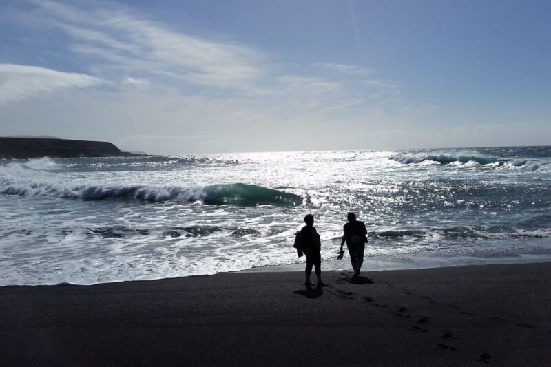 Fuerteventura: Panoramic Tour - Why This Tour Is Worth It