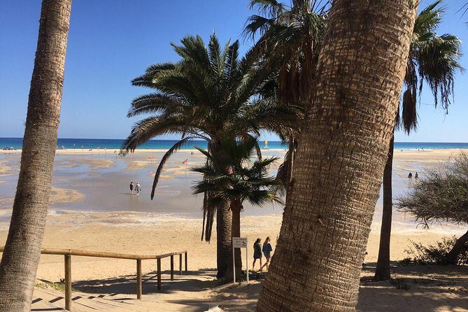 Fuerteventura South Exclusive Tour - Final Thoughts