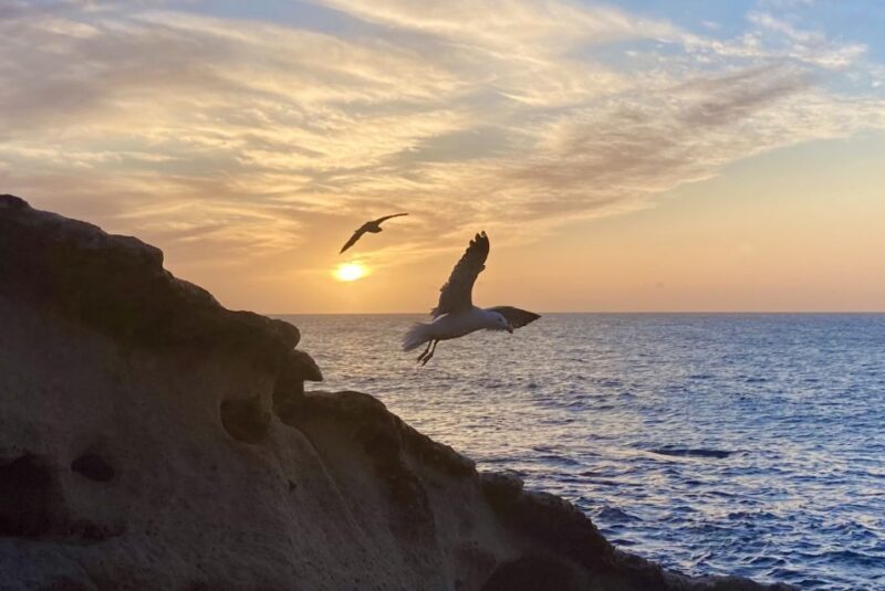 Fuerteventura sunset hike to the wild west coast - What Makes This Tour Stand Out?