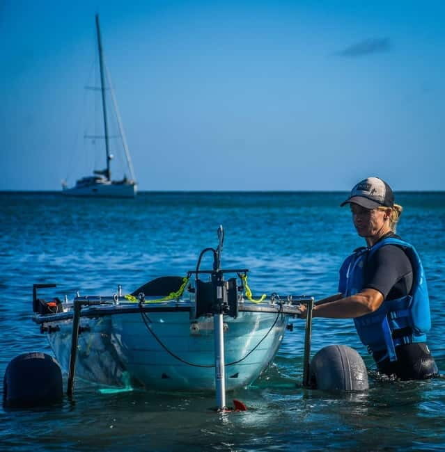 Fuerteventura: Transparent Electric Kayaks with Guide - Who Will Enjoy This Tour?