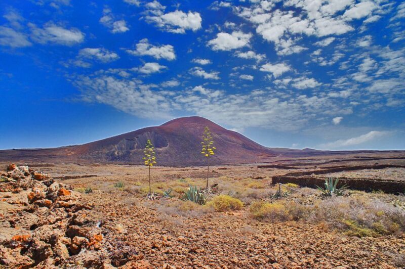Fuerteventura: Trekking Tour Through the North of the Island - The Sum Up: Is This the Experience for You?