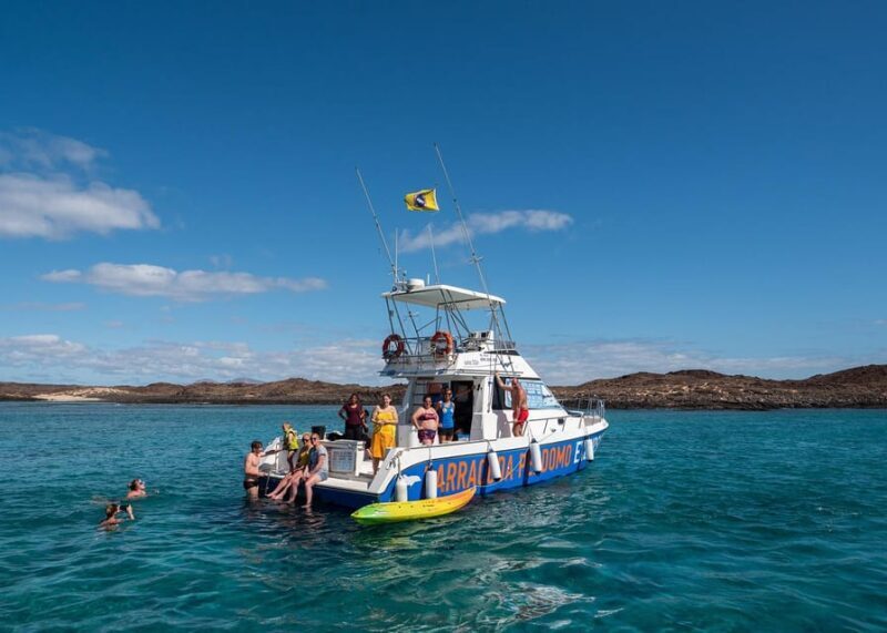 Fuerteventura: Whale & Dolphin Watching Boat Tour with Guide - Final Thoughts: Is This Tour Worth It?