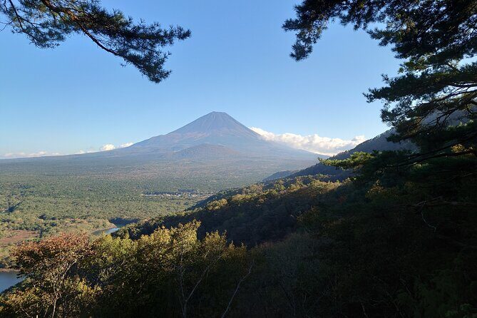 Fuji 5 Lakes Forest Bathing - Key Points