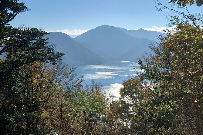 Fuji 5 Lakes Forest Bathing - Final Thoughts