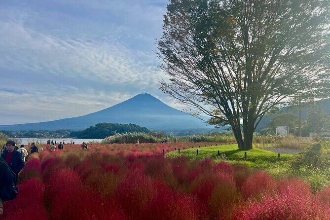 Fuji and Hakone Private Tour with English Guide and Photography - FAQ