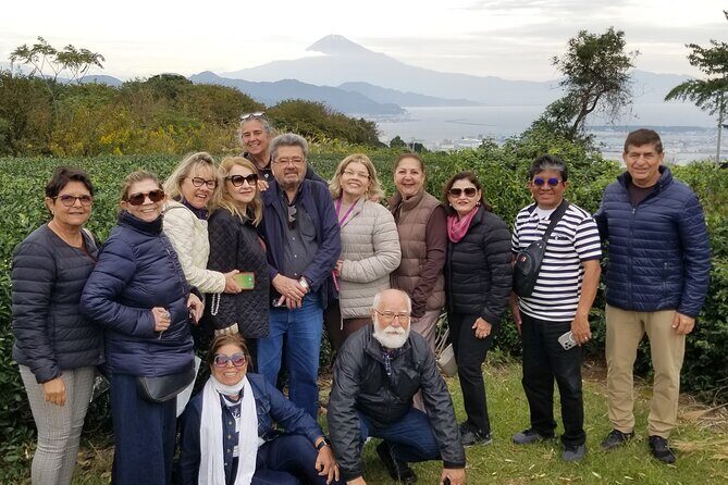 Fuji Area Cultural Highlights Day Tour from Shimizu Port by Car - Deep Dive into the Experience