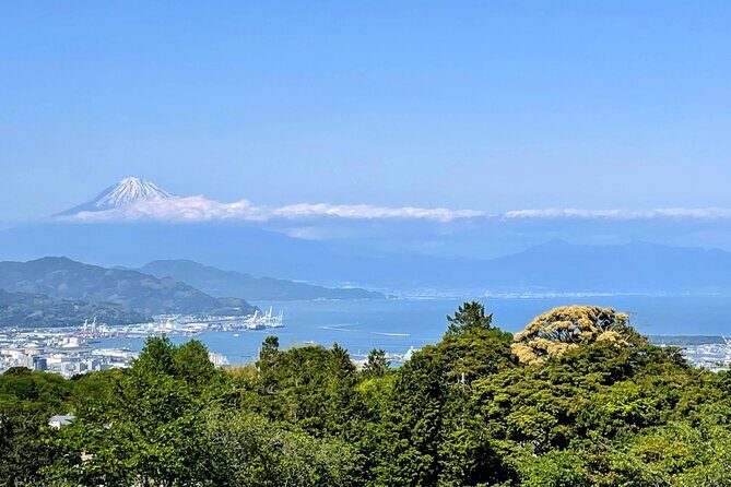 Fuji Area Cultural Highlights Day Tour from Shimizu Port by Car - The Sum Up: Is This Tour Worth It?