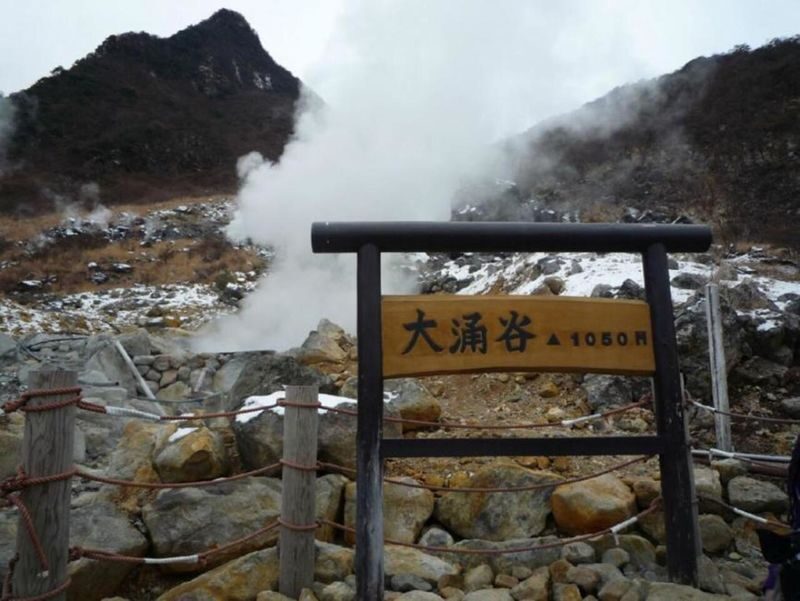 Fuji Hakone Day Trip | Hakone Pirate Ship, Hakone Ropeway, Hakone Shrine, Stroll Enoshima | Departure from Tokyo Shinjuku - Up the ropeway and over Owakudani