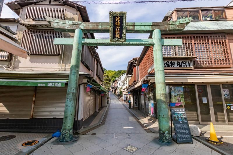 Fuji Hakone Day Trip | Hakone Pirate Ship, Hakone Ropeway, Hakone Shrine, Stroll Enoshima | Departure from Tokyo Shinjuku - What the price covers, and what it does not