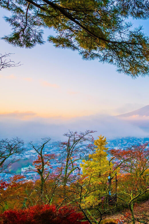 Fuji/Hakone Private Tour, English speaking guide, Photograph - Final Thoughts