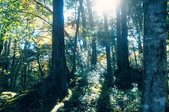 Fuji Photo Tour - Experience the Best of Mount Fuji in a Private Photo Tour