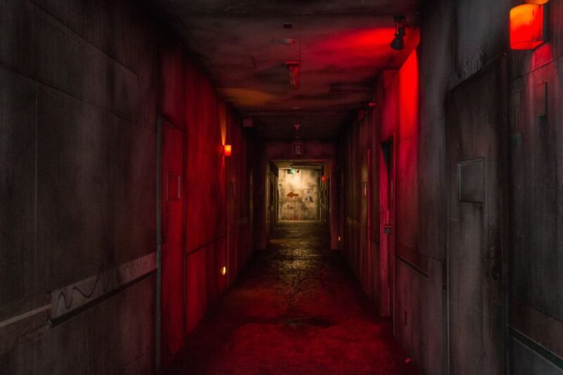 Fuji-Q Highland: Afternoon Pass (Non-Japanese Citizens) - Experience Quality and Staff