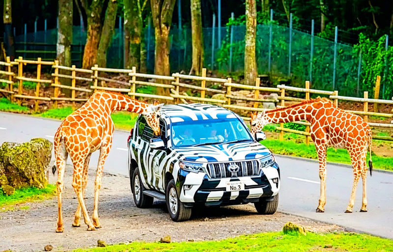 Fuji Safari Park, Oshino Hakkai, and Lake Kawaguchiko Oishi Park Flower Viewing Day Trip for Families (Round Trip from Tokyo Shinjuku) - At a glance