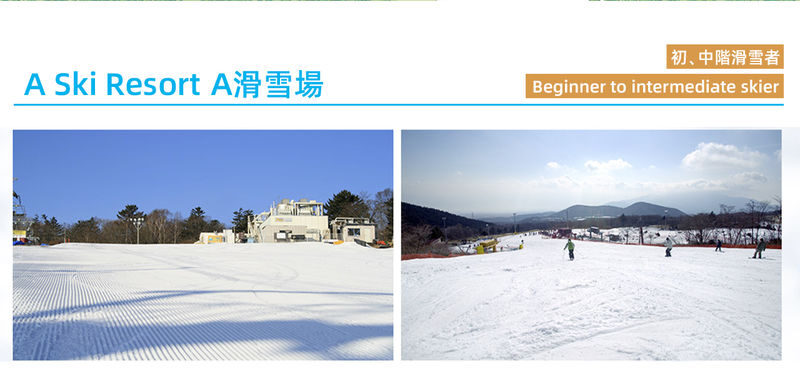 Fuji Snow Resort Yeti & Onsen Full-Day Tour - Who will get the most from this day