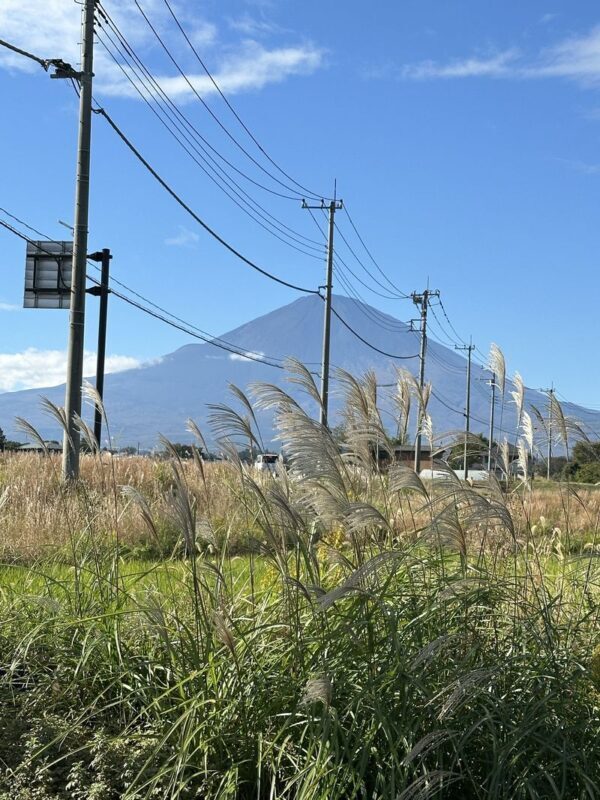 Fuji Speedway & Mount Fuji Private Half-Day Experience - Is $283.15 good value?