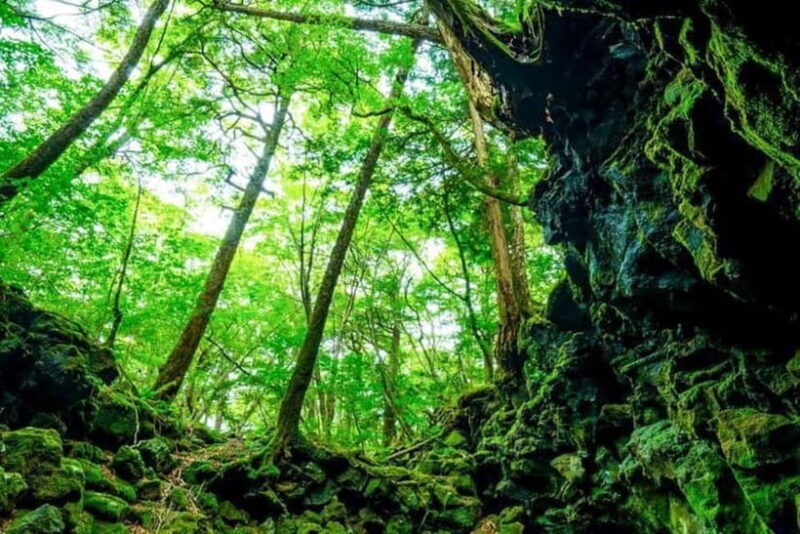 Fuji Spiritual Private Tour with Lunch and Dinner - Exploring the Itinerary and Highlights