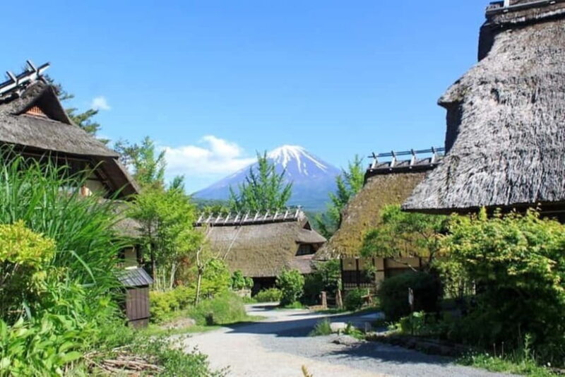 Fuji Spiritual Private Tour with Lunch and Dinner - Who Should Consider This Tour?