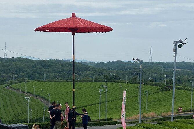 Fujikawachi Tea Fields Walking Tour and Learn Yamaguchi Tea - Final Thoughts: Is It Worth It?