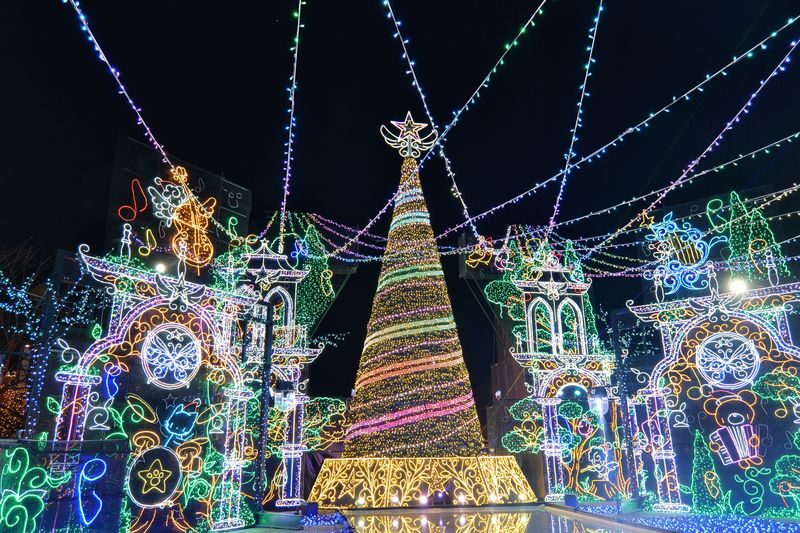 Fujiten Snow Sled, Oishi Park & Sagamiko Illumillion Tour from Tokyo - The day in five useful points