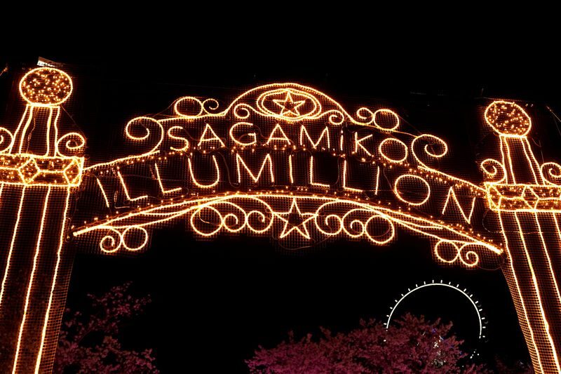 Fujiten Snow Sled, Oishi Park & Sagamiko Illumillion Tour from Tokyo - Price, meals, and what is actually included