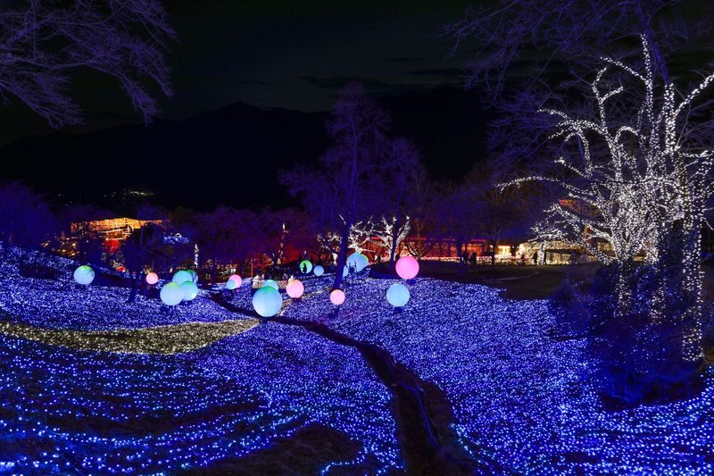 Fujiten Snow Sled, Oishi Park & Sagamiko Illumillion Tour from Tokyo - Who will get the most from this winter circuit