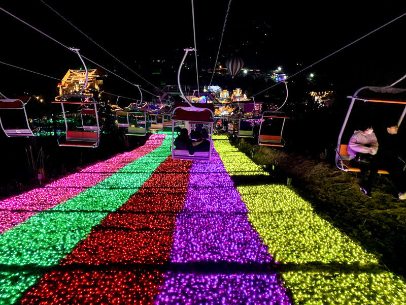Fujiten Snow Sled, Oishi Park & Sagamiko Illumillion Tour from Tokyo - Should you book it?
