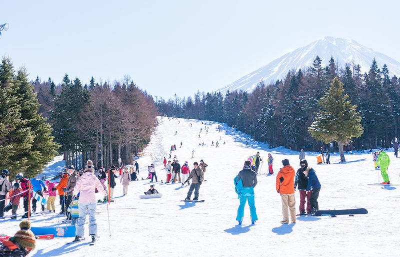 Fujiyama Snow Resort Yeti Skiing/Snow Play & Strawberry Picking Tour - The day, from Tokyo departure to fruit farm