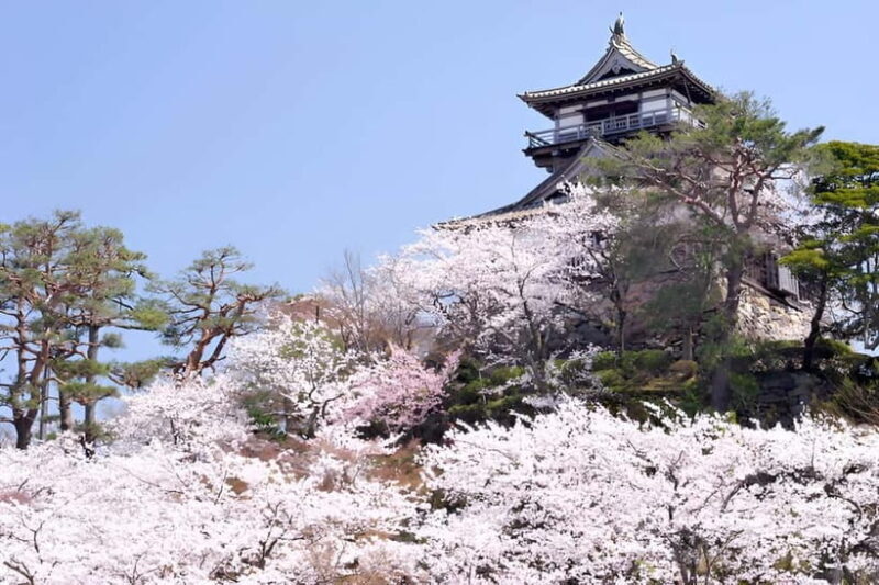 Fukui: Maruoka Castle Admission Ticket - What To Expect During Your Visit
