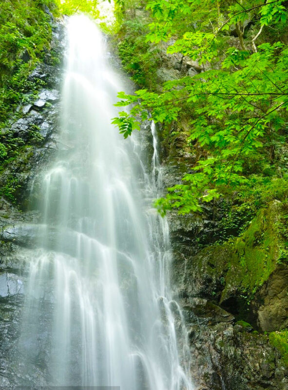 Fukuoka 6 Attractions Full-Day Coastal & Cultural Tour - Six Itoshima stops, without the rail puzzle