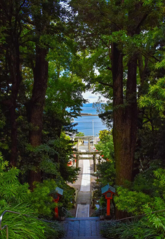 Fukuoka 6 Attractions Full-Day Coastal & Cultural Tour - Who should book this Itoshima day out?