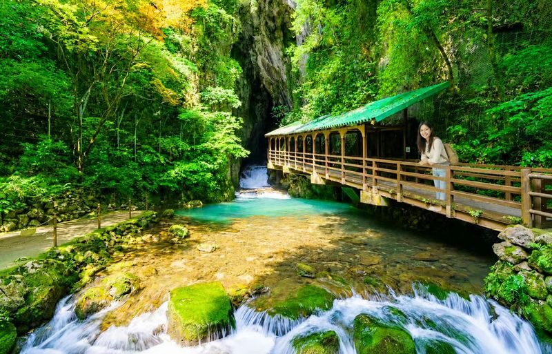 Fukuoka Akiyoshido Cave & Motonosumi Shrine Full-Day Tour - A cave, a shrine and a sea-crossing in one day