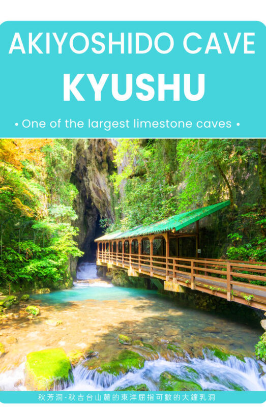 Fukuoka Akiyoshido Cave & Motonosumi Shrine Full-Day Tour - What the guide adds to a self-guided day