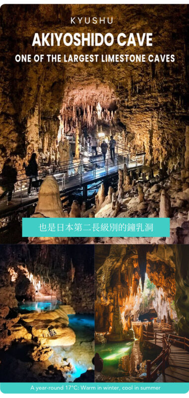 Fukuoka Akiyoshido Cave & Motonosumi Shrine Full-Day Tour - The real cost and the trade-offs